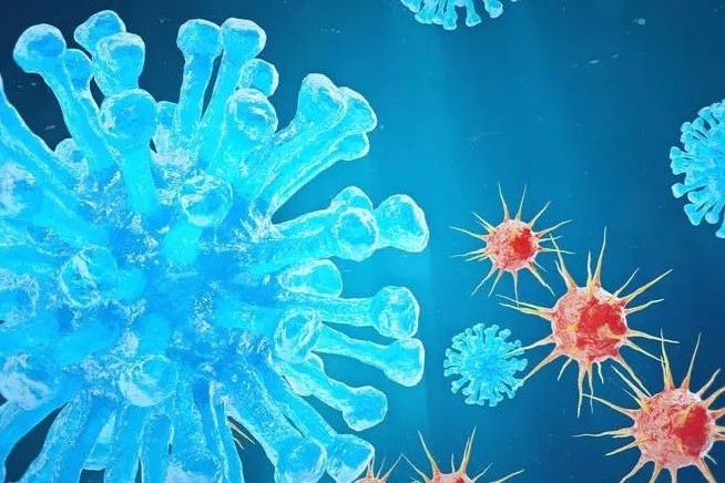 锦篮基因管线梳理！依托AAV递送技术平台，专注基因治疗药物创新研发