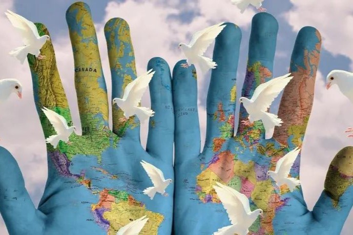 ​美国FDA批准TCR-T疗法的SCG101新药IND申请！治疗肝癌