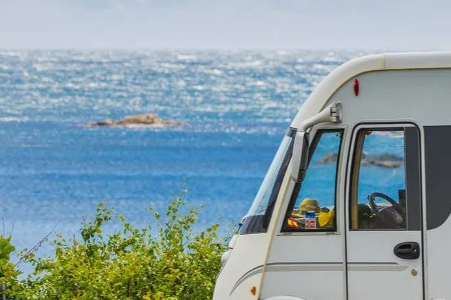 生命科学上游，重组蛋白龙头百普赛斯—Go Global