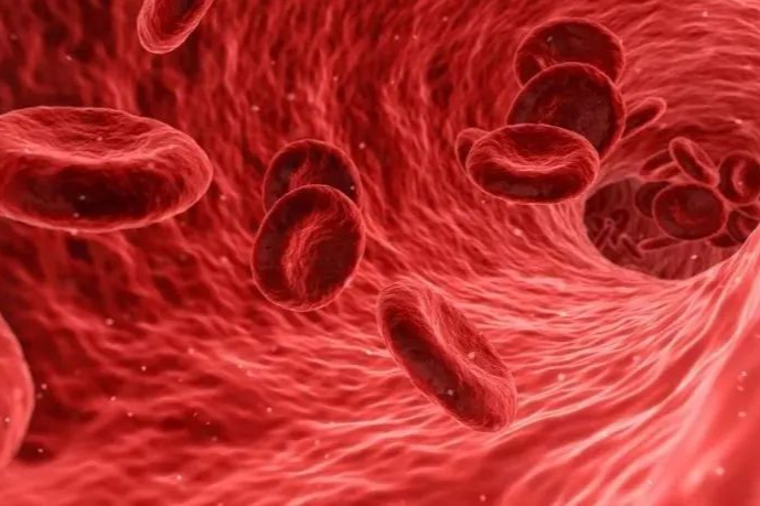 常山药业：斩获达肝素钠注射液仿制药首家！近13亿抗血栓药物