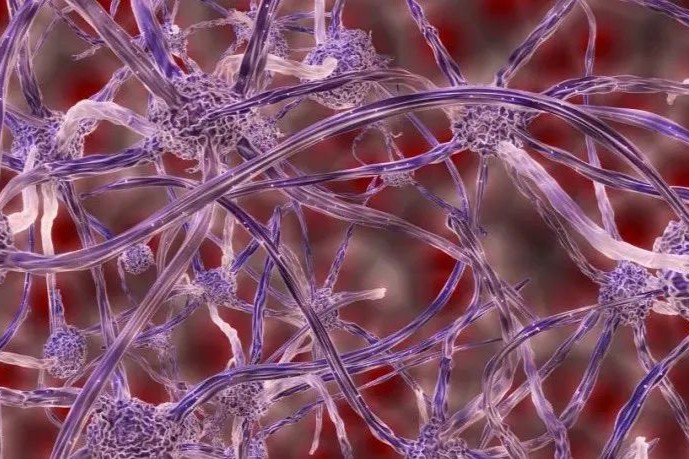 Science Advances：COVID-19病毒利用纳米管入侵大脑