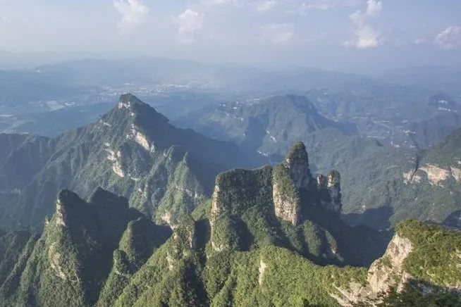 2022上半年业绩近2亿，镁伽！生命科学吸金独角兽