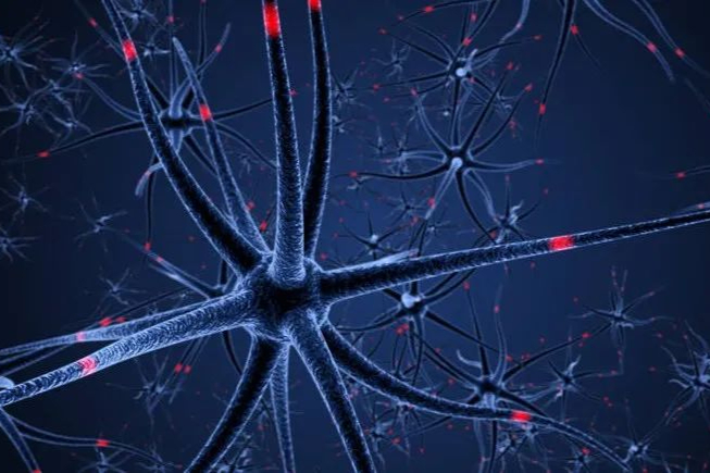 中枢神经系统创新强强对话！