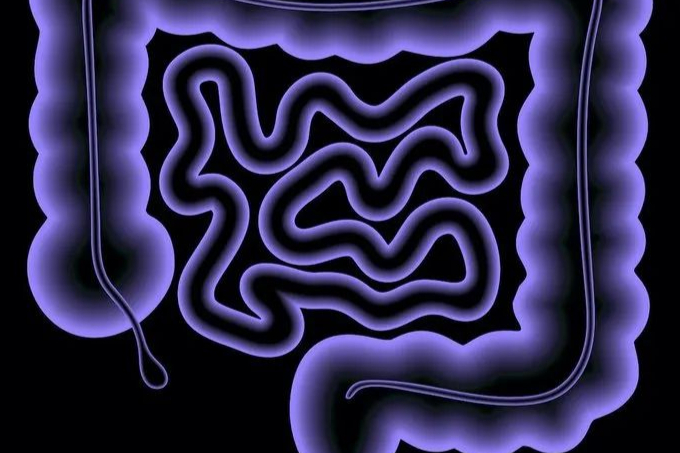 押注调节性T细胞疗法！百时美施贵宝与GentiBio达成19亿美元合作