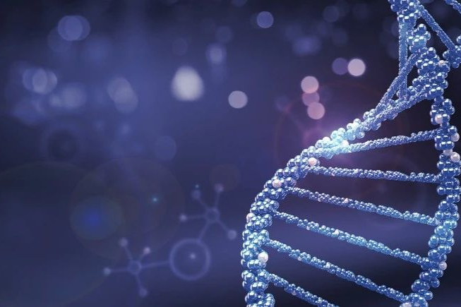 石药集团创新药产品研发管线梳理！丁苯酞商业化大获成功