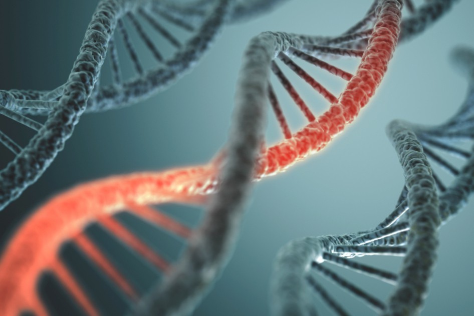 2022年全球基因治疗药物现状与分析