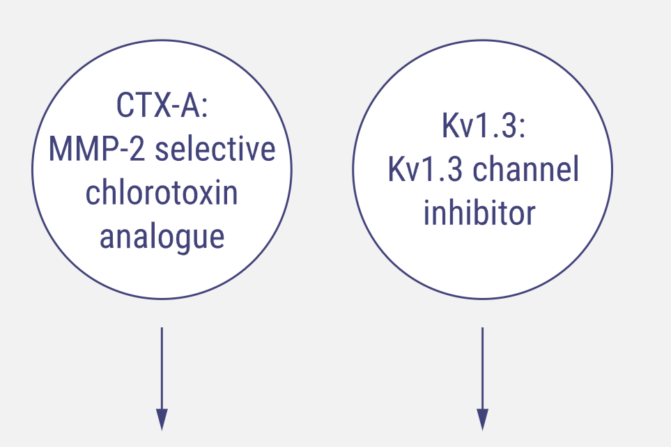 更高效能的CAR-T疗法治疗GBM