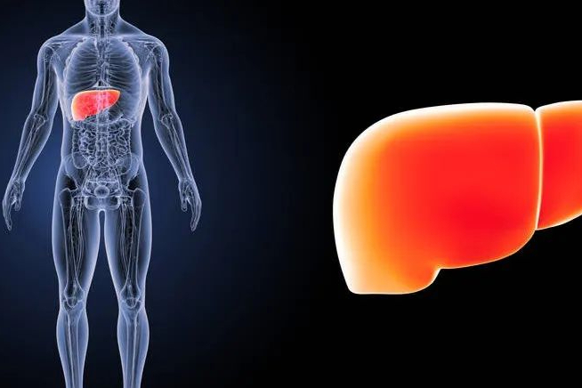 FDA批准OCE-205孤儿药称号，用于治疗肝肾综合征