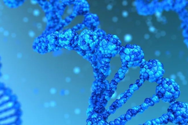 助力全球创新环状RNA疗法发展！耀海生物技术模块再开拓