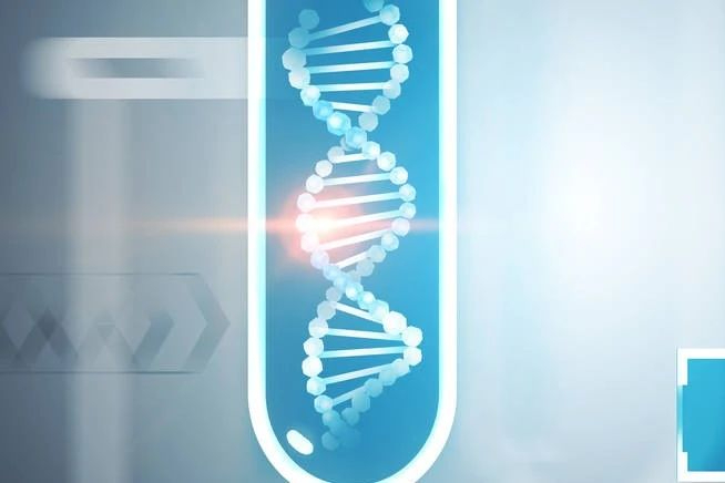 企业产品管线的设计与延续方法