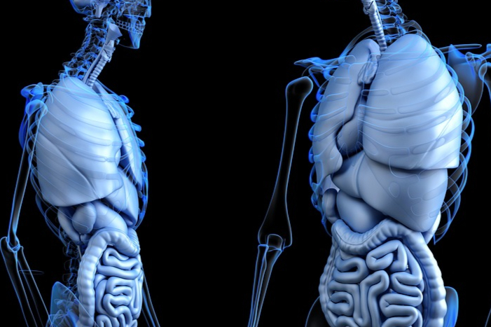 超3亿美元引进！正大天晴掘金PPAR激动剂，进攻400亿慢性肝病市场