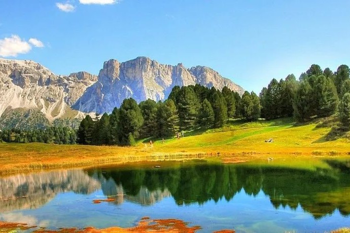 深耕原料药及CDMO领域三十年：窥见Divi’s全球格局