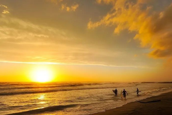 2022年千亿中成药市场！中药创新药2款已上市，6款在申报