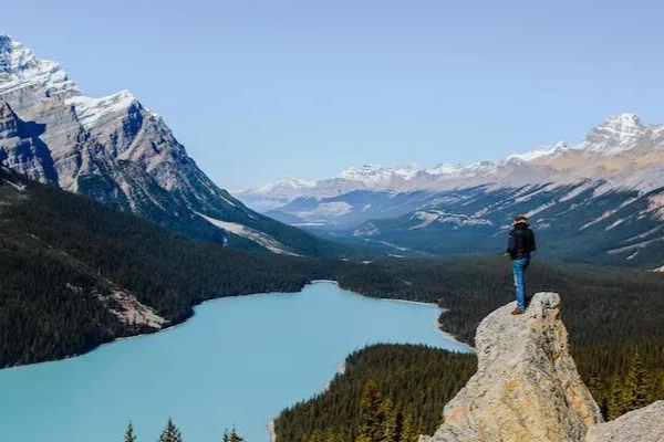 创新药临床试验&生物分析要点，做到这些你就是公司的C位担当