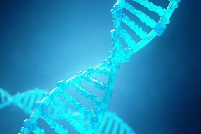 全球独家！驯鹿生物联合Cabaletta开发CD19靶向的CAR-T疗法