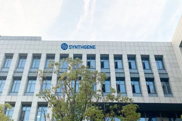 助力mRNA疫苗与药物研发，申基生物Fluc-eGFP mRNA闪亮登场