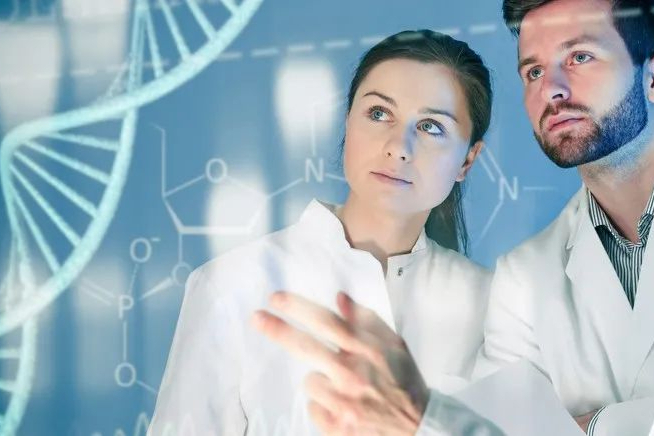 从宏观角度抓住新药研发的生命线