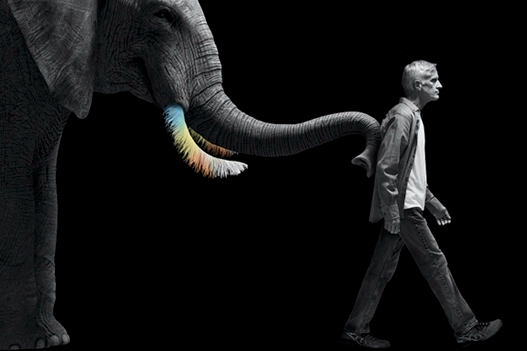 美股收购，重仓生物医药！韩国巨头LG Chem与AVEO达成最终协议