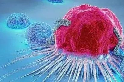 两位患者死亡！Alpine主动终止重组蛋白疗法临床试验