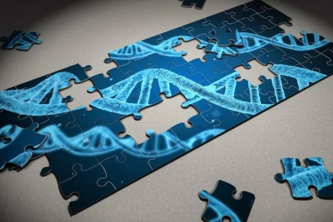 百亿吸入制剂药物市场，国内如何发展？