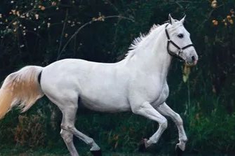 看“乳糖”如何驱动新药制剂开发的三驾马车