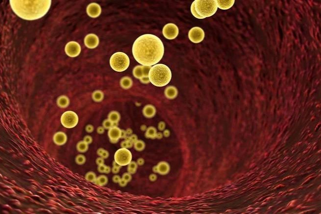 HIF-PHIs冲击百亿EPO市场！东阳光新药临床，信立泰仿制药申报