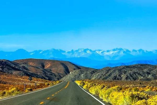 深耕细作，笃行致远——星北SIMBAY生命科学服务平台炼成记