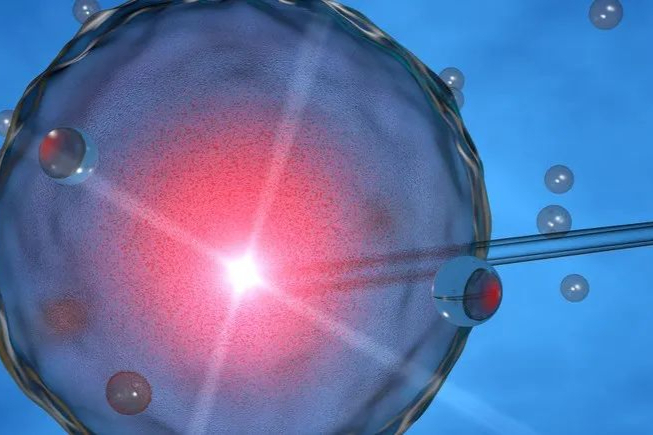 最高3.2亿美元！阿斯利康收购T细胞疗法公司，致力于实体瘤