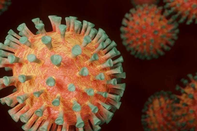 国内首个mRNA新冠疫苗或将上市，有望花落石药集团