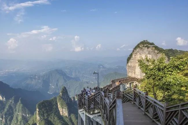 技术控 | 靶向蛋白降解药物研发技术盘点！