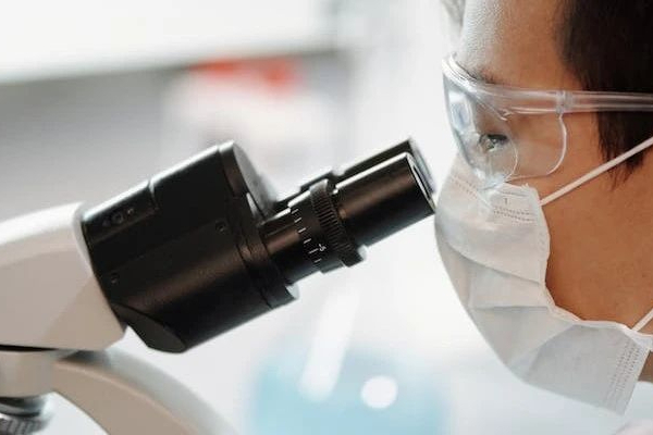 Digital Western技术助力IRAKs PROTAC药物研发