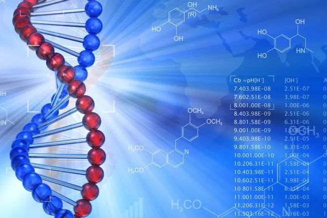 我国科学家利用新GWAS分析方法，发现 17个影响脸型的DNA