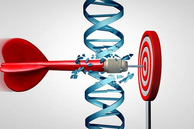 2022年全球上市的基因治疗药物盘点：共9款，刷新"全球最贵药"！
