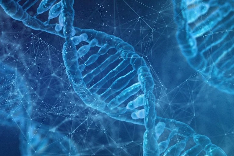 2家公司合作生产RNA药物，可治疗结直肠癌