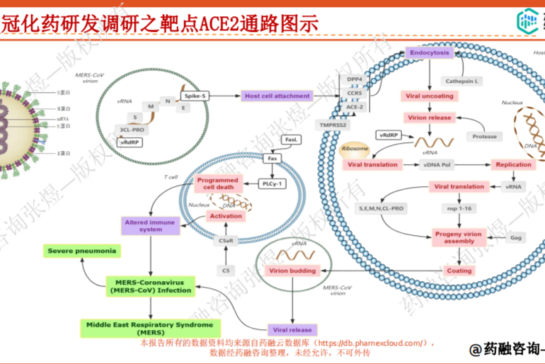 药融咨询报告下载：《“新冠大作战”！基于数据，探究阴与阳的那点事！》