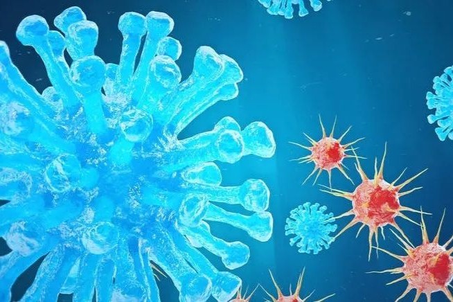 国产新冠疫苗价格出炉：三叶草12.8元，威斯克16元！