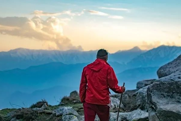 年薪1500万！细胞与基因治疗CDMO龙头，新CEO即将上任