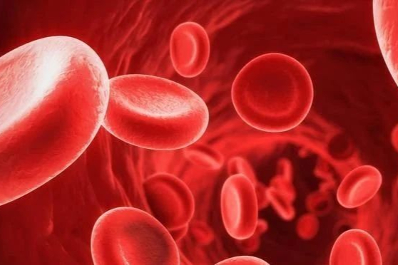 6亿高端仿制药！新华制药斩获国产第2家，用于治疗高磷血症