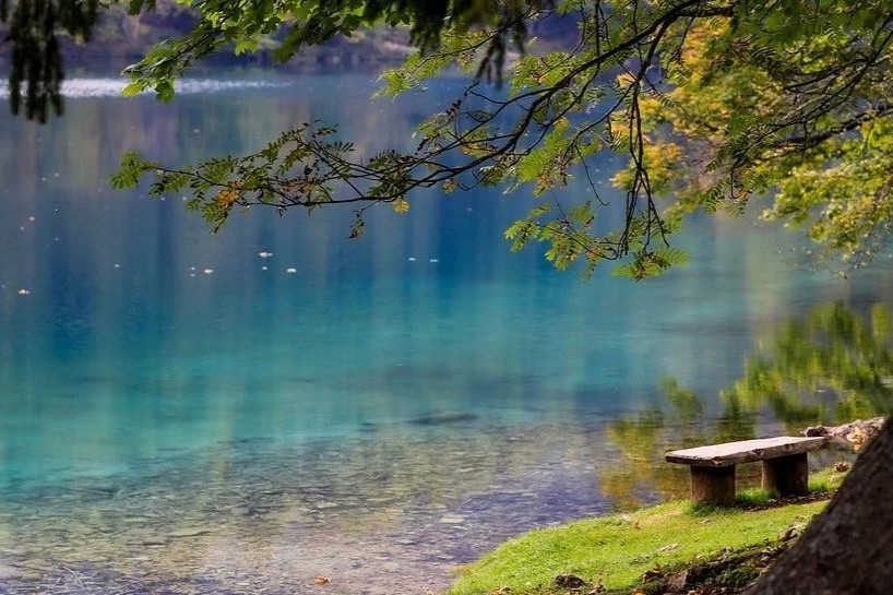 数据说话！CNS药物研发因难度大，而造就的一片“蓝海市场”！