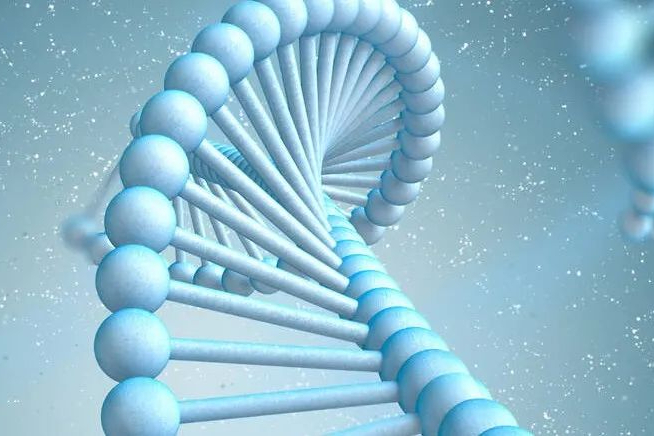 一家基因疗法公司倒闭！成立5年，诺华参股