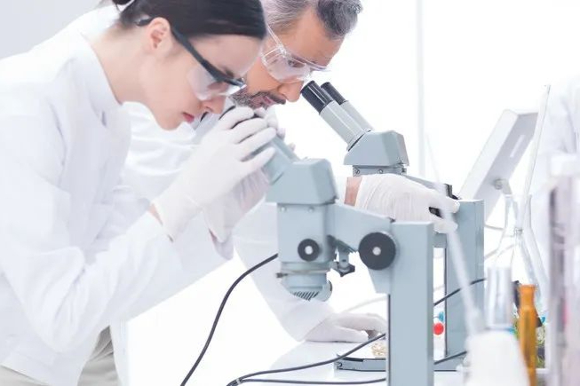 临床试验积极！Nexcella公布CAR-T细胞疗法1b/2a新数据