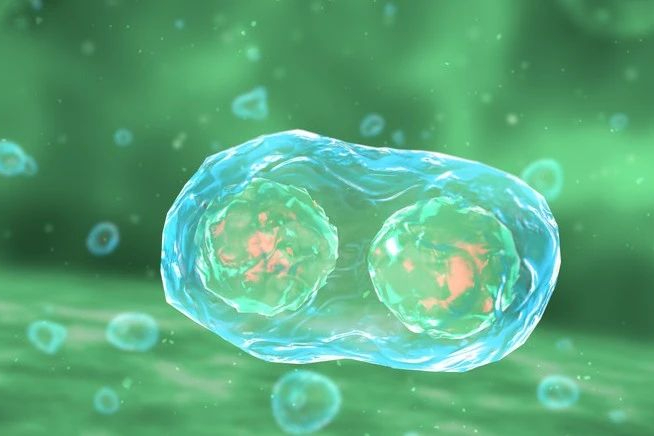 II期临床试验失败，终止巨细胞病毒疫苗研发！