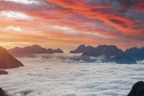 授权开发先驱：稳稳输出的Ligand Pharmaceuticals