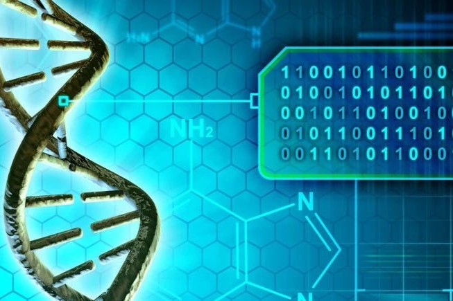 制药界的明星靶点！2023全球神经系统药物研发热门靶点TOP10！