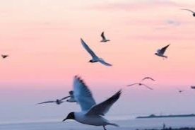 “销售为王？” 恒瑞医药PD-L1单抗加入竞赛，价格出炉！