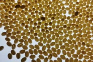 经验分享：软胶囊的制备工艺过程及注意事项