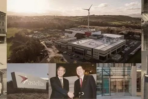 全球制药企业TOP50！安斯泰来，加深肿瘤、基因治疗、女性健康等布局