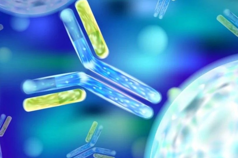 避雷！抗体纯化工艺放大过程中会遇到的小概率事件