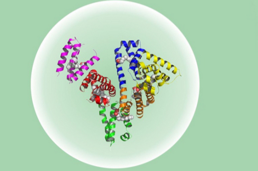 拟募资35亿！禾元生物冲击IPO，创造人血白蛋白新思路！