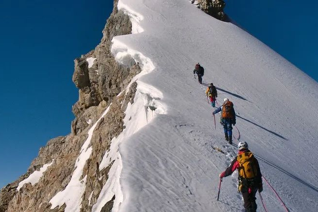 4亿元！上海新锐CRO+CDMO企业完成A轮融资，累计已超7亿！